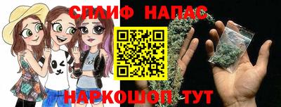 шишки Будённовск