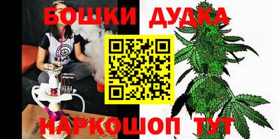 шишки Будённовск