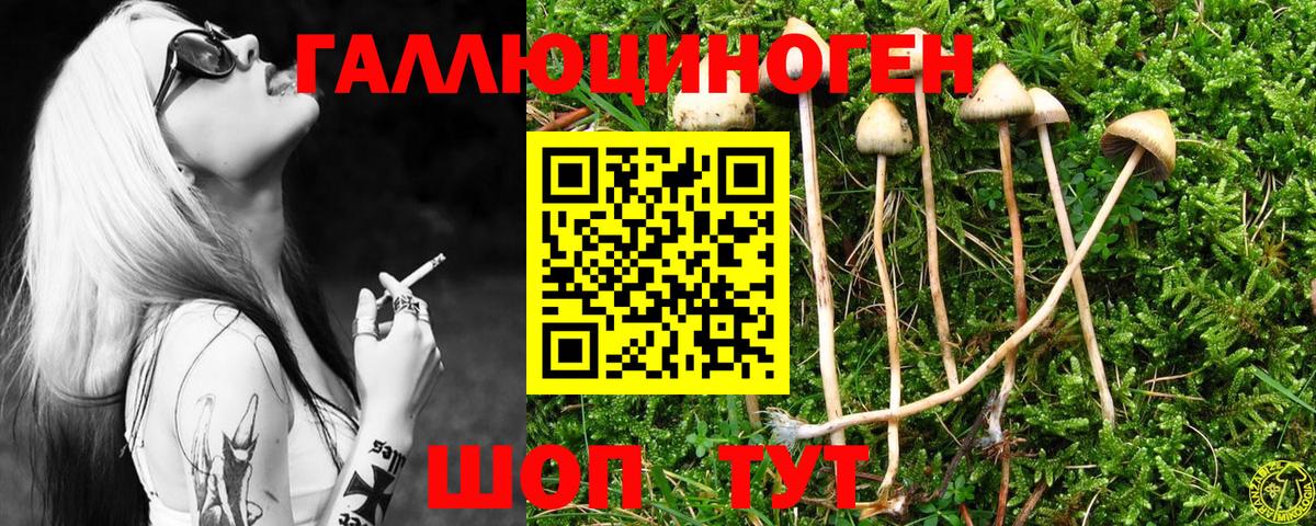 Галлюциногенные грибы Cubensis Новоалександровск