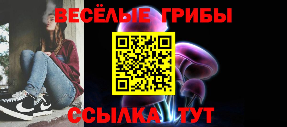 Галлюциногенные грибы Magic Shrooms  Галлюциногенные грибы мицелий  Новоалександровск  Вход с VPN 